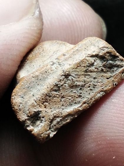 พระนางพญาเนื้อดินครับ รูปที่ 10