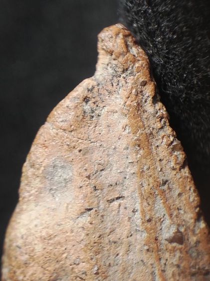 พระนางพญาเนื้อดินครับ รูปที่ 15