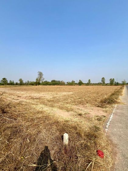 ที่เปล่า 3ไร่ 97.5 ตรว. ต.เขาขลุง อ.บ้านโป่ง จ.ราชบุรี ที่ติดถนนซอย ไม่ไกลถนนหลวง ถนน เส้นโคกสูงหนองเป็ด

 รูปที่ 2