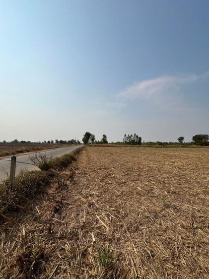 ที่เปล่า 3ไร่ 97.5 ตรว. ต.เขาขลุง อ.บ้านโป่ง จ.ราชบุรี ที่ติดถนนซอย ไม่ไกลถนนหลวง ถนน เส้นโคกสูงหนองเป็ด

 รูปที่ 3