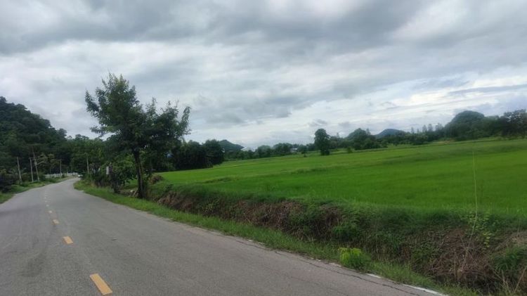 ขายที่ดิน 16ไร่ 2งาน 24ตรว ติดถนน 2ด้าน ใกล้ๆ วัดเขาช่องพราน ถ้ำค้างคาว ต.เตาปูน อ.โพธาราม จ.ราชบุรี


 รูปที่ 2