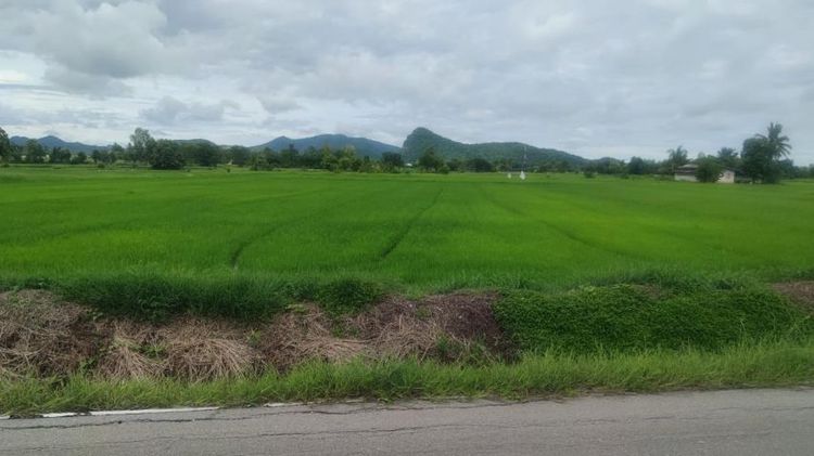 ขายที่ดิน 16ไร่ 2งาน 24ตรว ติดถนน 2ด้าน ใกล้ๆ วัดเขาช่องพราน ถ้ำค้างคาว ต.เตาปูน อ.โพธาราม จ.ราชบุรี


