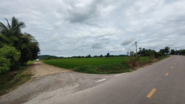 ขายที่ดิน 16ไร่ 2งาน 24ตรว ติดถนน 2ด้าน ใกล้ๆ วัดเขาช่องพราน ถ้ำค้างคาว ต.เตาปูน อ.โพธาราม จ.ราชบุรี


 รูปที่ 3