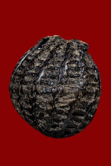 เครื่องรางเก่า ไม่ทราบที่