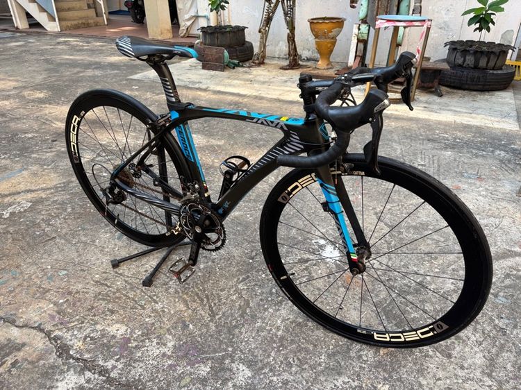 เสือหมอบ java feroce (สีน้ำเงิน) รูปที่ 2