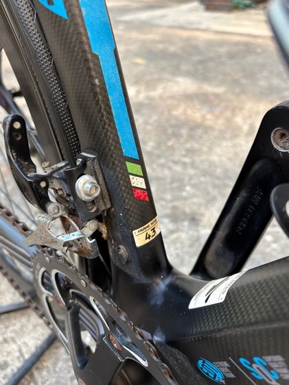 เสือหมอบ java feroce (สีน้ำเงิน) รูปที่ 4