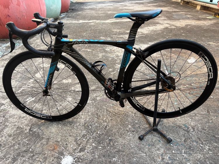 เสือหมอบ java feroce (สีน้ำเงิน)