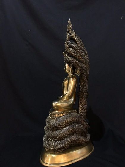 พระนาคปรก  รูปที่ 2