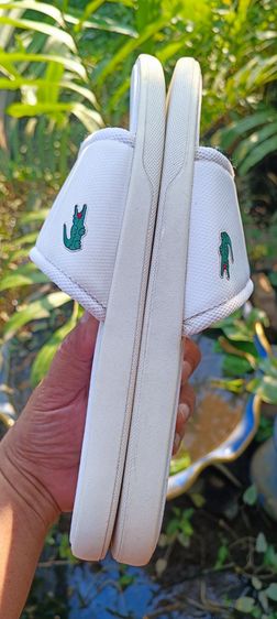 รองเท้าแตะ LACOSTE  รูปที่ 4