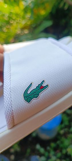 รองเท้าแตะ LACOSTE  รูปที่ 9
