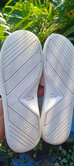 รองเท้าแตะ LACOSTE  รูปที่ 11