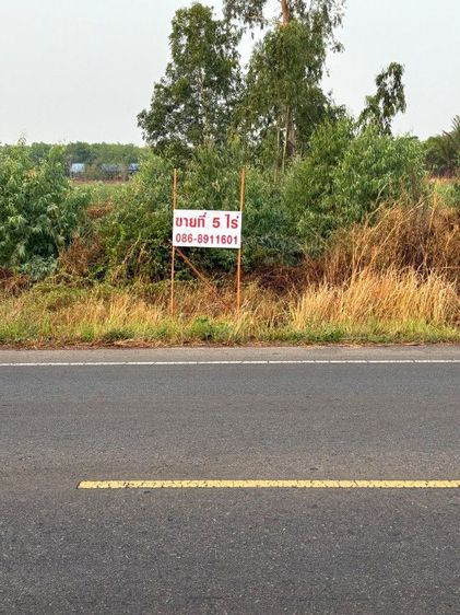 ใช่ ขายที่ดินติดถนนใหญ่เข้าอ. นามน รูปที่ 2