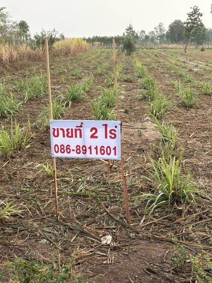 ขายที่ดินติดถนนใหญ่เข้าอ. นามน