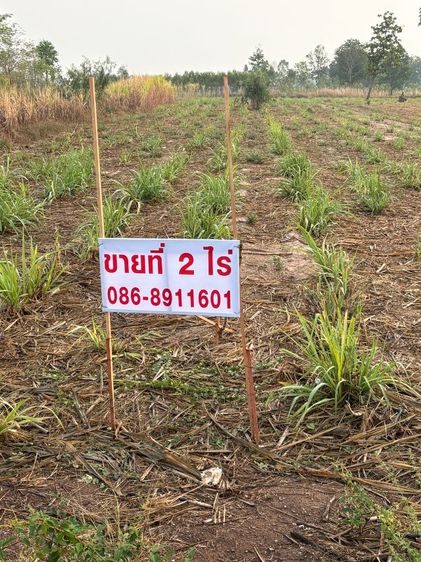 ใช่ ขายที่ดินติดถนนใหญ่เข้าอ. นามน รูปที่ 3