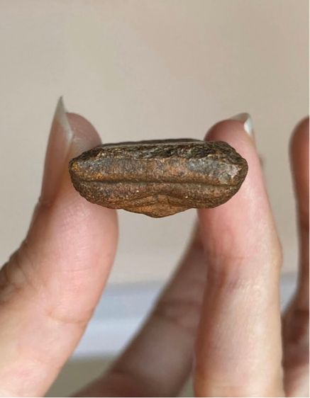 พระทวารวดีเนื้อดินไม่ทราบกรุ รูปที่ 5