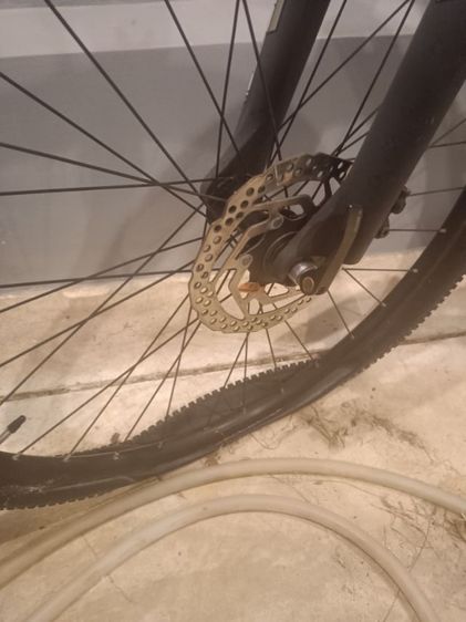 Bianchi Kuma mountain bike รูปที่ 8