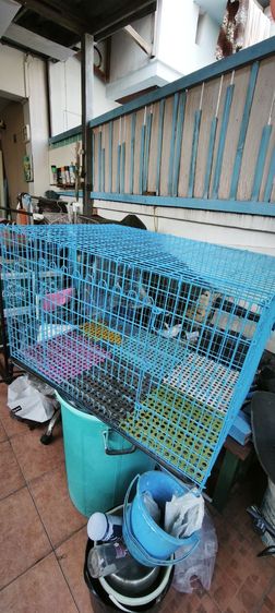 กรงกระต่าย รูปที่ 2