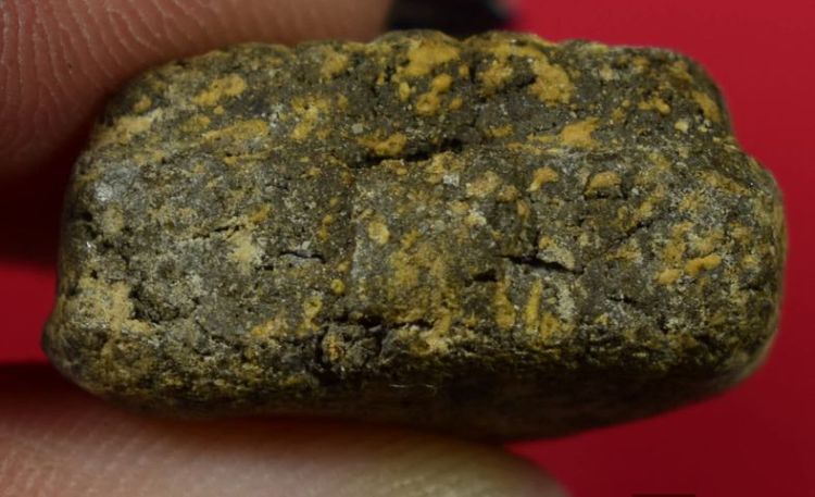 พระหลวงปู่ทวดเนื้อว่านปี 97 รูปที่ 2