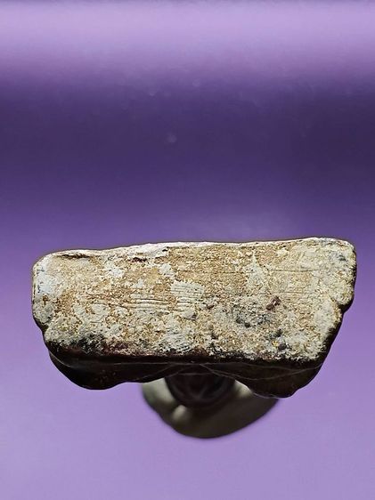 พระท่ากระดาน ขุดพบได้ที่กรุศรีสวัสดิ์ กรุเมืองเก่ากาญจนบุรี สภาพสวยสมบูรณ์เดิมจากกรุ พบจำนวนน้อย รูปที่ 7