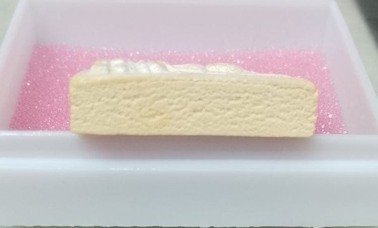 พระคำข้าวหลวงพ่อฤาษีลิงดำวัดท่าซุง รูปที่ 5