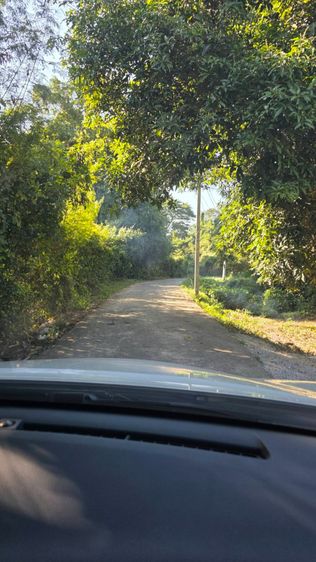 ขายด่วนที่ดินติดแม่น้ำแม่กลอง ต.ท่าชุมพล โพธาราม ราชบุรี พร้อมที่งอกริมน้ำ 1 ไร่ รูปที่ 3