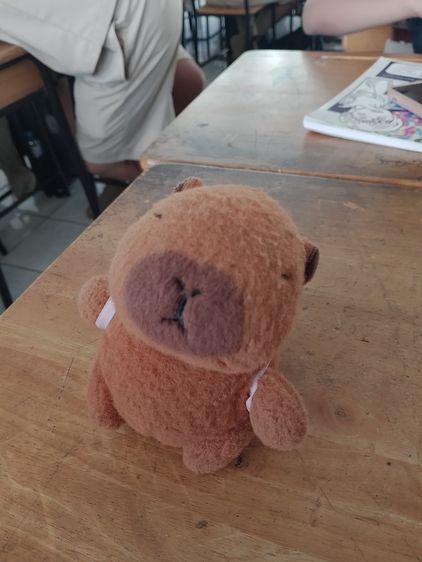 ตุ๊กตาพวงกุญแจ คาปิบาร่า รูปที่ 5