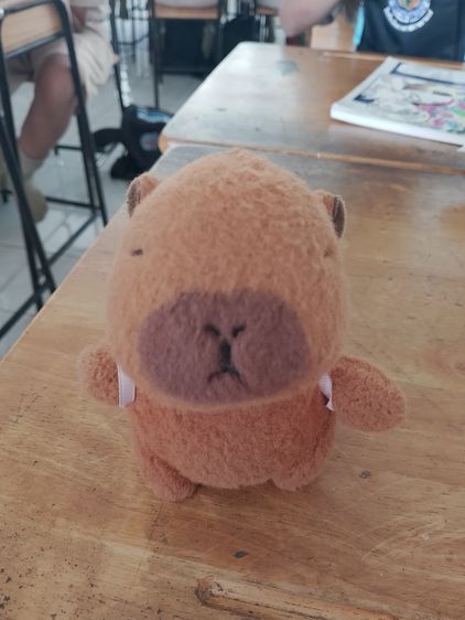 ตุ๊กตาผ้าขน ตุ๊กตาพวงกุญแจ คาปิบาร่า