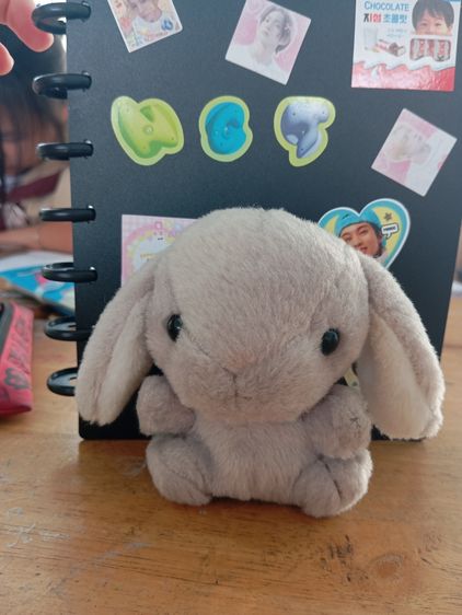 พวงกุญแจกระต่ายหัวกลมพันธ์ ฮอลแลนด์ลอป รูปที่ 4