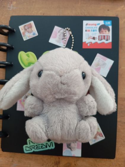 พวงกุญแจกระต่ายหัวกลมพันธ์ ฮอลแลนด์ลอป รูปที่ 5