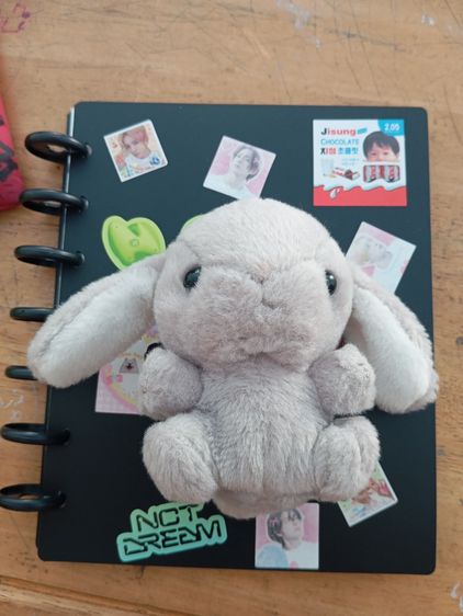 พวงกุญแจกระต่ายหัวกลมพันธ์ ฮอลแลนด์ลอป รูปที่ 2