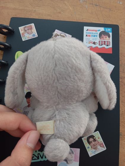 พวงกุญแจกระต่ายหัวกลมพันธ์ ฮอลแลนด์ลอป รูปที่ 3