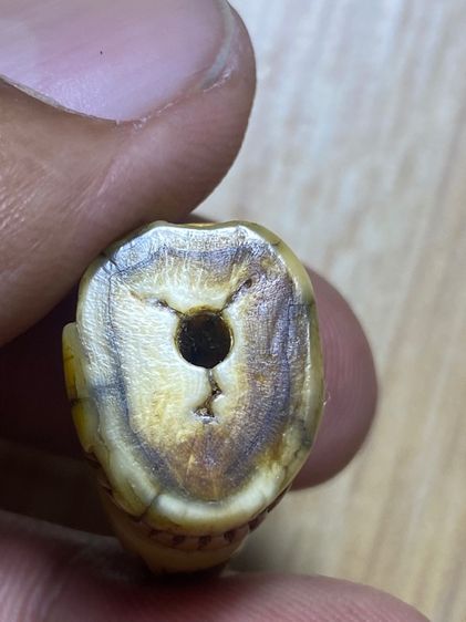 หลวงพ่อปาน รูปที่ 5