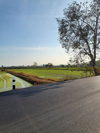 ขายที่ติดถนน รูปที่ 3