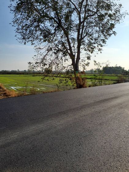 ขายที่ติดถนน รูปที่ 2