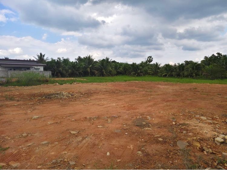 ใช่ ที่ดินสวยใกล้ ห้างเซ็นทรัล รูปที่ 2