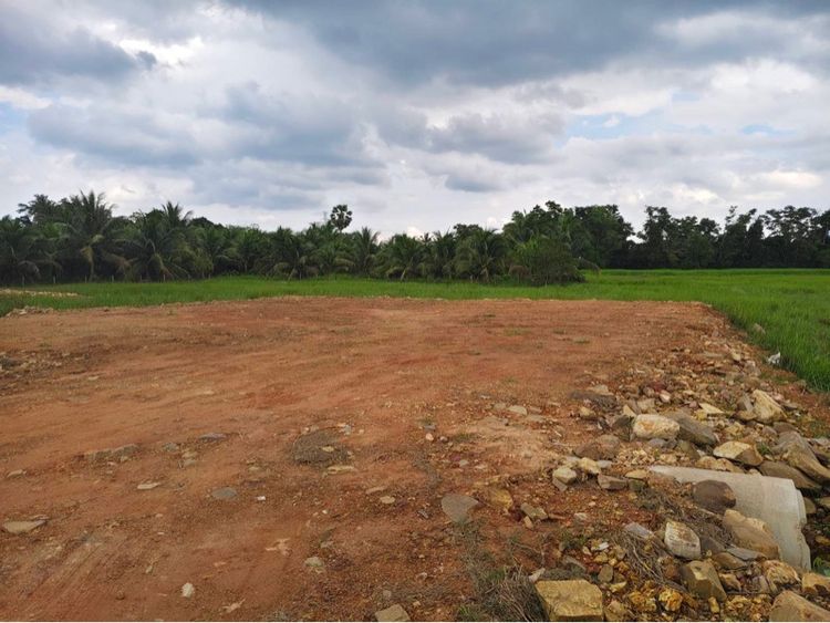 ใช่ ที่ดินสวยใกล้ ห้างเซ็นทรัล