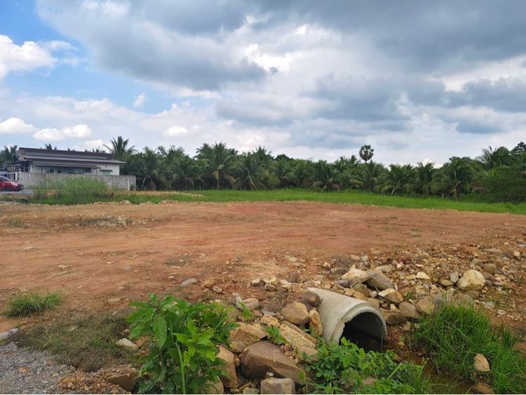 ใช่ ที่ดินสวยใกล้ ห้างเซ็นทรัล รูปที่ 3