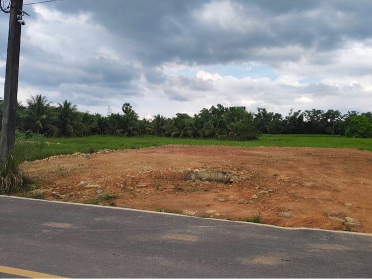 ที่ดิน ถมแล้วใกล้ห้างเซ็นทรัล รูปที่ 4