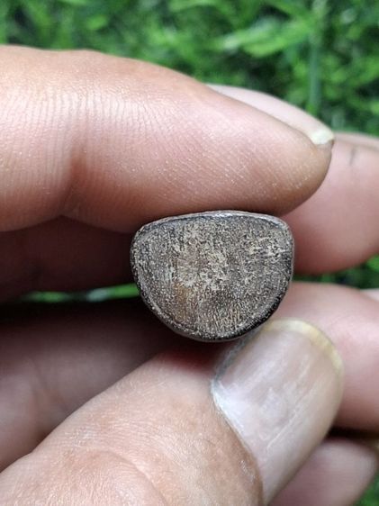 ปิดตาไม้แกะเก่า ไม่ทราบที่ รูปที่ 3