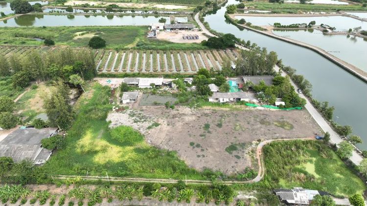 ใช่ ที่ดินศักยภาพสูงพื้นที่สีชมพูรอนักลงทุน(เจ้าของขายเอง) รูปที่ 3