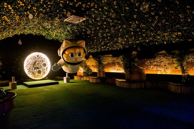 เซ้งด่วน Pub Restaurant เกรดพรีเมียม ระยอง สายล่าง ย่านNightlife รูปที่ 8