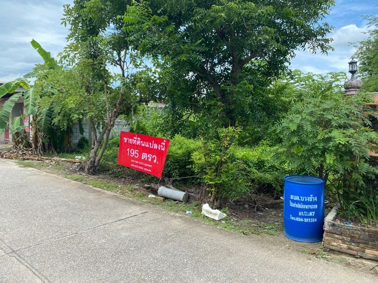 ขายที่ดิน195ตารางวา