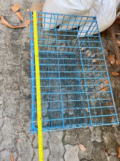 กรงสัตว์เลี้ยง