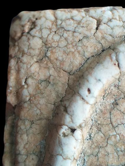 พิมพ์เกศทะลุซุ้ม. รูปที่ 10