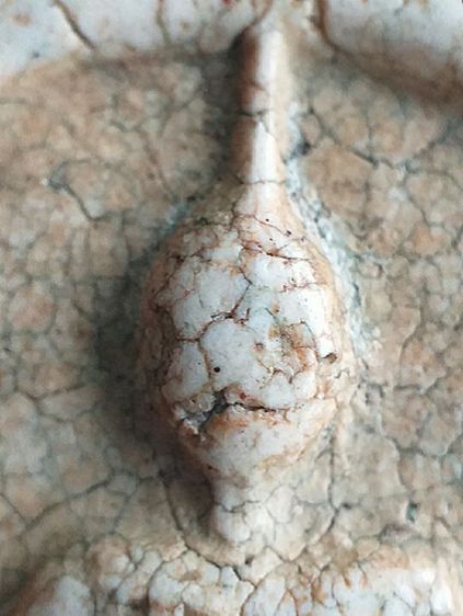 พิมพ์เกศทะลุซุ้ม. รูปที่ 6