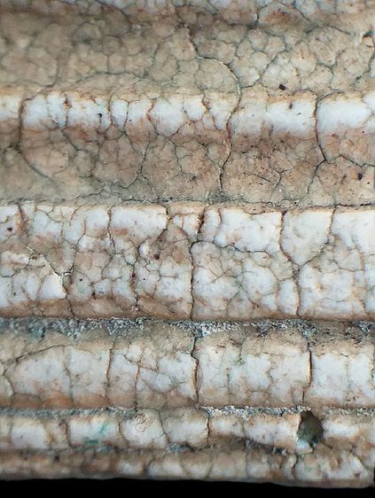 พิมพ์เกศทะลุซุ้ม. รูปที่ 9