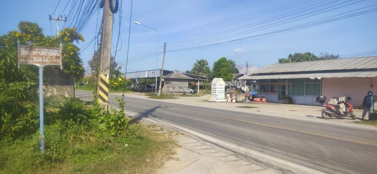 ขายที่ดิน