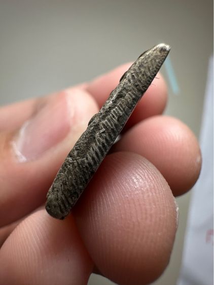 พระเหรียญเจ้าสัวเนื้อเงิน รูปที่ 6