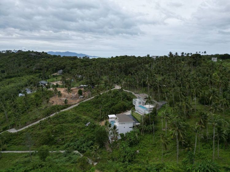 Beautiful Jungle view land รูปที่ 3