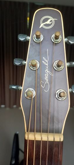 Seagull Entourage Mini Jumbo Rustic acoustic guitar รูปที่ 5